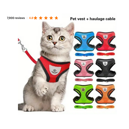 Collection image for: Pet Accessories
