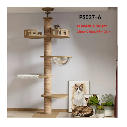 Collection image for: Premium Cat Collection