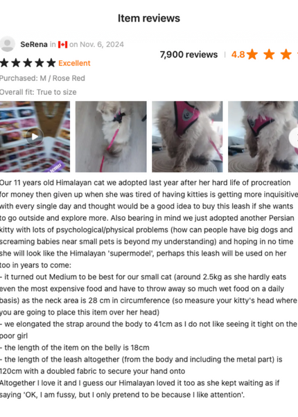 Premium Quality Adjustable Pet Harness & Leash for Cats & Dogs