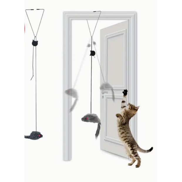<h4>Cat Toys</h4>