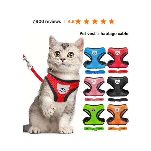 <h2>CAT & DOG LEASH</h2>