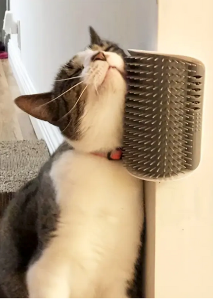 Pet Grooming Station - Wall-Mounted, Self-Cleaning, Massage Comb Brush with Gentle Vibration for Kitten and Puppy Relaxation, Shedding, and Coat Health - Easy to Install and Clean