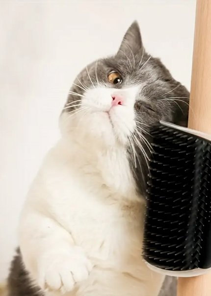 Pet Grooming Station - Wall-Mounted, Self-Cleaning, Massage Comb Brush with Gentle Vibration for Kitten and Puppy Relaxation, Shedding, and Coat Health - Easy to Install and Clean
