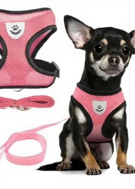 Premium Quality Adjustable Pet Harness & Leash for Cats & Dogs