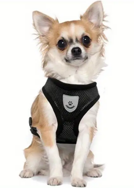 Premium Quality Adjustable Pet Harness & Leash for Cats & Dogs