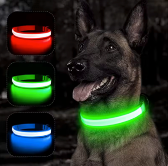 LED USB Charging Dog Collar &  LED Pendant Tag with Batteries