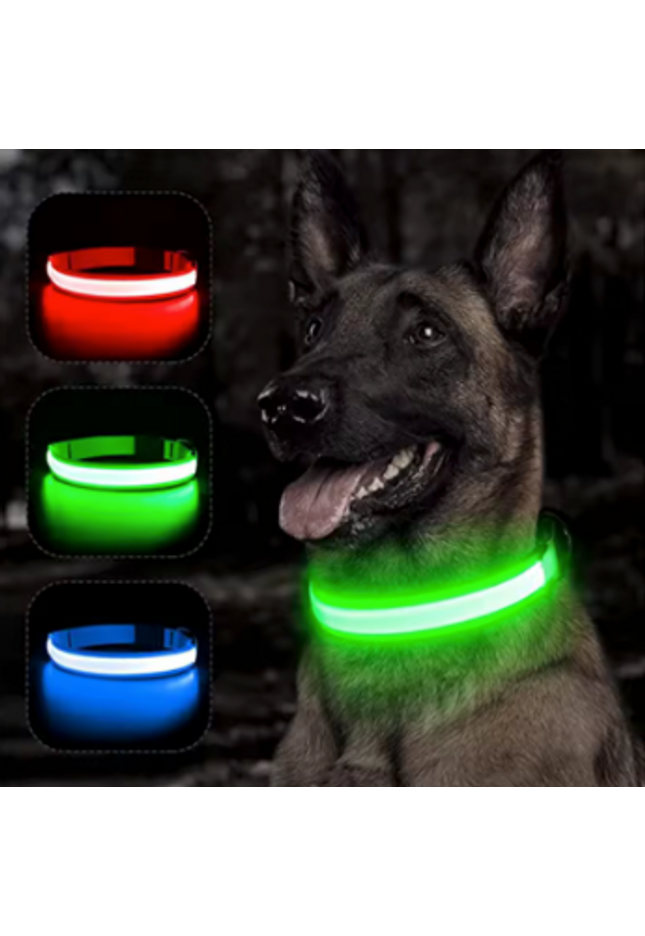 LED USB Charging Dog Collar &  LED Pendant Tag with Batteries