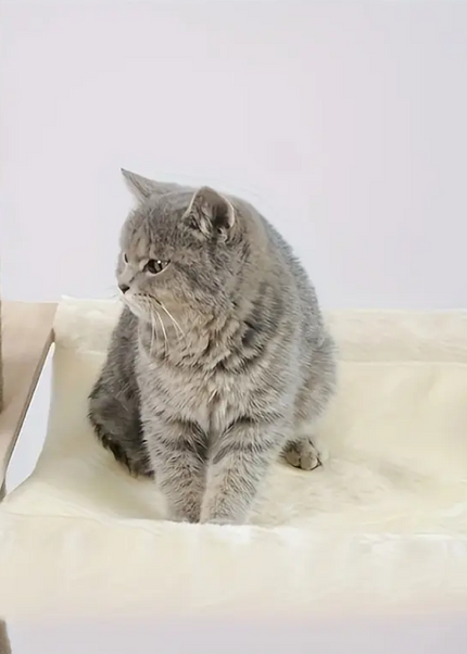 Multi-Level Adjustable and Durable Premium Quality Floor to Ceiling CAT Tree