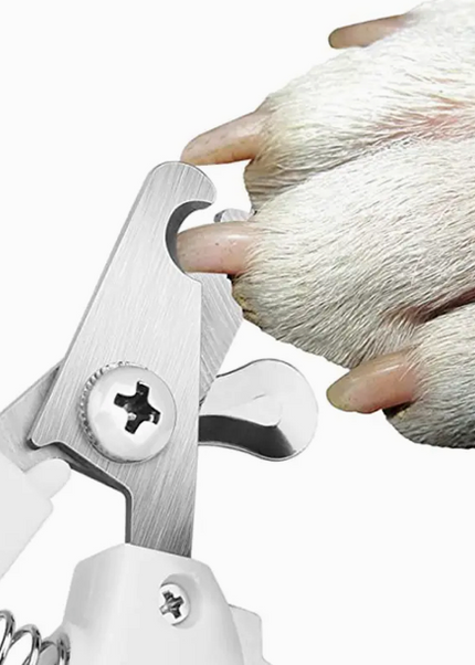 Premium Quality -Pet Nail Clipper for Cats & Dogs