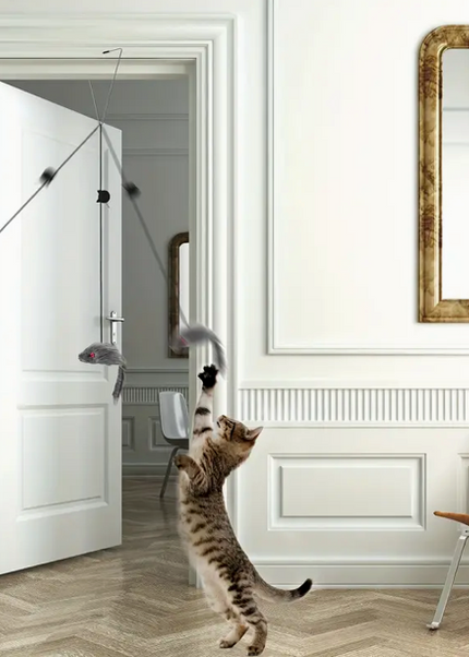 2pcs Adjustable Hanging Cat Toy - Interactive Teasing & Playful Fun - For Cats - For Indoor Play