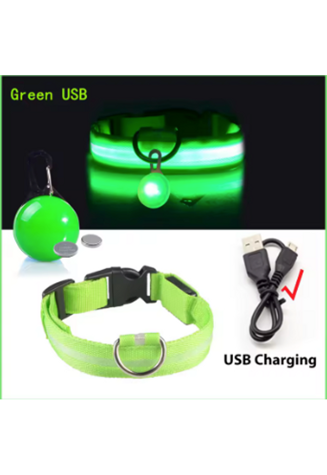 LED USB Charging Dog Collar &  LED Pendant Tag with Batteries