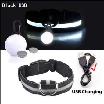 LED USB Charging Dog Collar &  LED Pendant Tag with Batteries