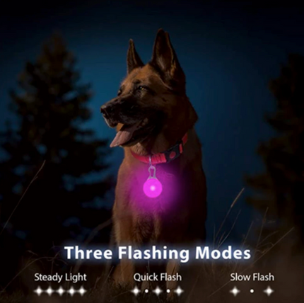 LED USB Charging Dog Collar &  LED Pendant Tag with Batteries