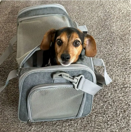Premium Quality Cat and Dog Pet Travel Bag