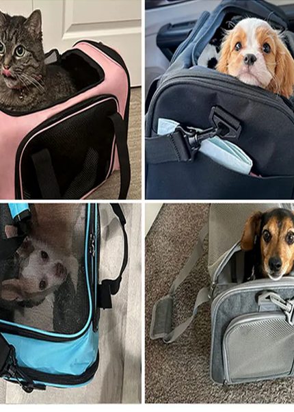 Premium Quality Cat and Dog Pet Travel Bag
